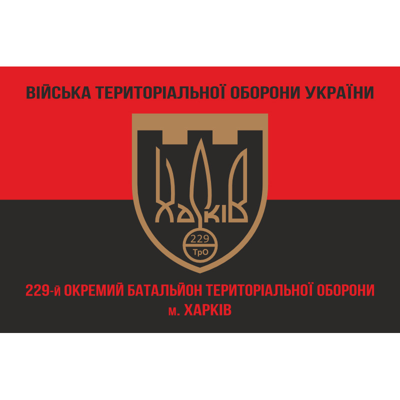 Прапор 229 ОБТрО (окремий батальйон Територіальної оборони) ЗСУ. Варіант-08 Прапор 229 ОБТрО (окремий батальйон Територіальної оборони) ЗСУ. Варіант-08