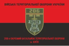 Флаг 206 ОБТрО (отдельный батальон Территориальной обороны) ВСУ. Вариант-09
