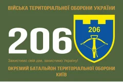 Флаг 206 ОБТрО (отдельный батальон Территориальной обороны) ВСУ. Вариант-11