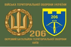 Флаг 206 ОБТрО (отдельный батальон Территориальной обороны) ВСУ. Вариант-12