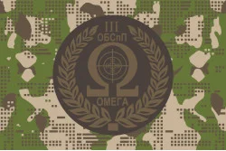 Прапор 3 ОБСпП ( батальйон спеціального призначення) НГУ «Омега». Варіант-04