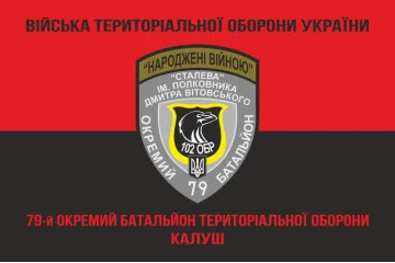 Флаг 79 ОБТрО (отдельный батальон Территориальной обороны) ВСУ. Вариант-08