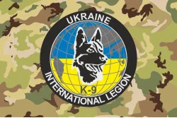 Флаг Интернационального легиона обороны Украины «К9». Вариант-04
