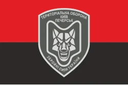 Прапор БТрО (батальйон територіальної оборони) ЗСУ «Печерськ». Варіант-02