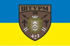 Флаг 423 ОСБ (отдельный стрелковый батальон) ВСУ «ШТУРМ». Вариант-01