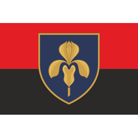 Прапор 11 ЗРП (зенітно-ракетний полк) ЗСУ. Варіант-08