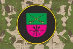 Прапор 23 ОБрОГП (окрема бригада охорони громадського порядку) НГУ. Варіант-17 Прапор 23 ОБрОГП (окрема бригада охорони громадського порядку) НГУ. Варіант-17