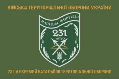 Флаг 231 ОБТрО (отдельный батальон Территориальной обороны) ВСУ. Вариант-04