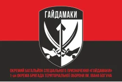 Прапор ОБСпП (окремий батальйон спеціального призначення) ТрО ЗСУ «Гайдамаки». Варіант-04