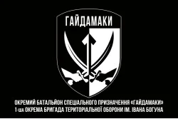 Прапор ОБСпП (окремий батальйон спеціального призначення) ТрО ЗСУ «Гайдамаки». Варіант-08