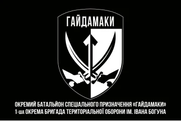 Флаг ОБСпН (отдельный батальон специального назначения) ТрО ВСУ «Гайдамаки». Вариант-08 Флаг ОБСпН (отдельный батальон специального назначения) ТрО ВСУ «Гайдамаки». Вариант-08