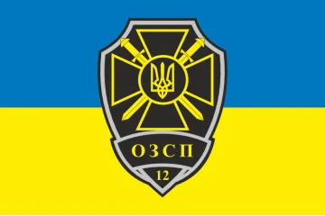 Флаг 12 ООСН (отдельный отряд специального назначения) ТрО ВСУ. Вариант-01 Флаг 12 ООСН (отдельный отряд специального назначения) ТрО ВСУ. Вариант-01
