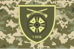 Флаг 1 ОСБ (отдельный стрелковый батальон) 66 ОМБр ВСУ. Вариант-06 Флаг 1 ОСБ (отдельный стрелковый батальон) 66 ОМБр ВСУ. Вариант-06