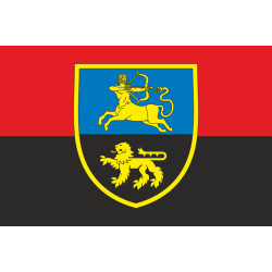 Флаг 454 ОПБ (отдельный пехотный батальон) ВСУ. Вариант-03