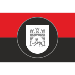 Прапор 45 ПОП (полк оперативного призначення) НГУ. Варіант-09 Прапор 45 ПОП (полк оперативного призначення) НГУ. Варіант-09
