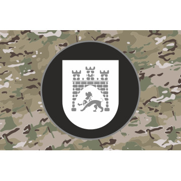 Прапор 45 ПОП (полк оперативного призначення) НГУ. Варіант-12 Прапор 45 ПОП (полк оперативного призначення) НГУ. Варіант-12