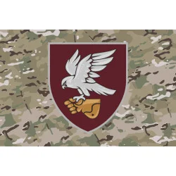 Прапор 421 ОББпС (окремий батальйон безпілотних систем) ДШВ ЗСУ. Варіант-14 Прапор 421 ОББпС (окремий батальйон безпілотних систем) ДШВ ЗСУ. Варіант-14