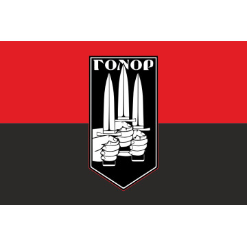 Прапор Штурмової роти «Гонор» 59 ОМПБр ЗСУ. Варіант-03