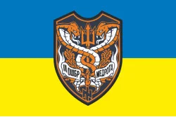 Флаг Медицинской роты 3 ОШБр ВСУ. Вариант-01 Флаг Медицинской роты 3 ОШБр ВСУ. Вариант-01