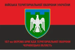 Прапор 107 ОБрТрО ЗСУ (окрема бригада територіальної оборони). Варіант-09 Прапор 107 ОБрТрО ЗСУ (окрема бригада територіальної оборони). Варіант-09