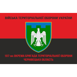 Прапор 107 ОБрТрО ЗСУ (окрема бригада територіальної оборони). Варіант-09
