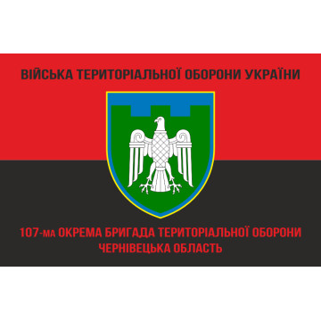 Прапор 107 ОБрТрО ЗСУ (окрема бригада територіальної оборони). Варіант-09