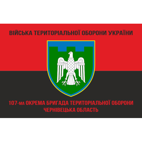 Прапор 107 ОБрТрО ЗСУ (окрема бригада територіальної оборони). Варіант-09