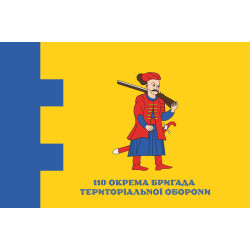 Прапор 110 ОБрТрО ЗСУ (окрема бригада територіальної оборони). Варіант-11