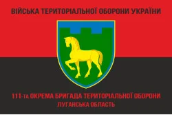 Прапор 111 ОБрТрО ЗСУ (окрема бригада територіальної оборони). Варіант-09 Прапор 111 ОБрТрО ЗСУ (окрема бригада територіальної оборони). Варіант-09