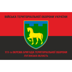 Прапор 111 ОБрТрО ЗСУ (окрема бригада територіальної оборони). Варіант-09 Прапор 111 ОБрТрО ЗСУ (окрема бригада територіальної оборони). Варіант-09