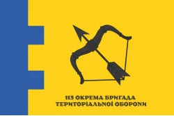 Прапор 113 ОБрТрО ЗСУ (окрема бригада територіальної оборони). Варіант-12 Прапор 113 ОБрТрО ЗСУ (окрема бригада територіальної оборони). Варіант-12