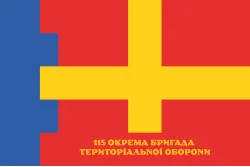 Прапор 115 ОБрТрО ЗСУ (окрема бригада територіальної оборони). Варіант-11 Прапор 115 ОБрТрО ЗСУ (окрема бригада територіальної оборони). Варіант-11