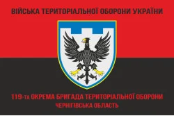 Прапор 119 ОБрТрО ЗСУ (окрема бригада територіальної оборони). Варіант-09 Прапор 119 ОБрТрО ЗСУ (окрема бригада територіальної оборони). Варіант-09