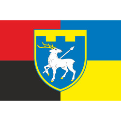 Прапор 123 ОБрТрО ЗСУ (окрема бригада територіальної оборони). Варіант-11