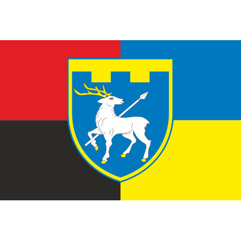 Прапор 123 ОБрТрО ЗСУ (окрема бригада територіальної оборони). Варіант-11