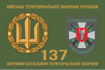 Флаг 137 ОБТрО (отдельный батальон Территориальной обороны) ВСУ. Вариант-02