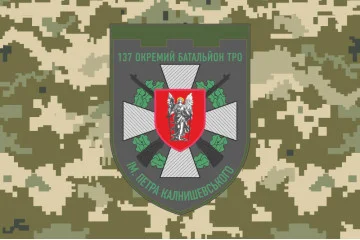 Флаг 137 ОБТрО (отдельный батальон Территориальной обороны) ВСУ. Вариант-10
