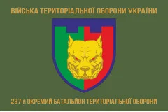 Флаг 237 ОБТрО (отдельный батальон Территориальной обороны) ВСУ. Вариант-04