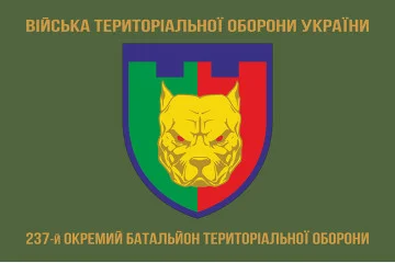 Прапор 237 ОБТрО (окремий батальйон Територіальної оборони) ЗСУ. Варіант-04