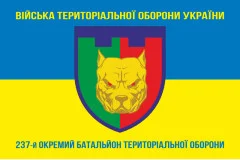 Флаг 237 ОБТрО (отдельный батальон Территориальной обороны) ВСУ. Вариант-06