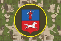 Флаг 31 ОП (отдельный полк) НГУ. Вариант-08