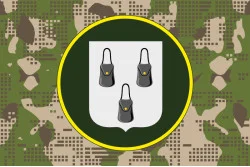 Флаг 35 ОП (отдельный полк) НГУ. Вариант-08 Флаг 35 ОП (отдельный полк) НГУ. Вариант-08