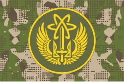 Флаг 28 П (полк) НГУ. Вариант-08