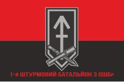 Флаг 1 ШБ (штурмовий батальйон) 3 ОШБр ВСУ. Вариант-10