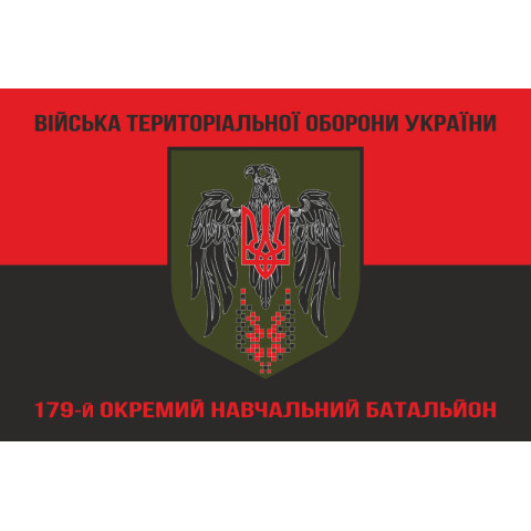 Прапор 179 ОНБ (окремий навчальний батальйон) Сил ТрО ЗСУ. Варіант-08