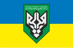 Флаг 1 БОН (батальон оперативного назначения) НГУ. Вариант-03 Флаг 1 БОН (батальон оперативного назначения) НГУ. Вариант-03