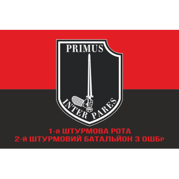 Флаг 1 ШР (штурмова рота) 2 ШБ 3 ОШБр ВСУ. Вариант-04