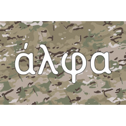Роти «Альфа» 1 батальйону ГУР МОУ-04 Роти «Альфа» 1 батальйону ГУР МОУ-04