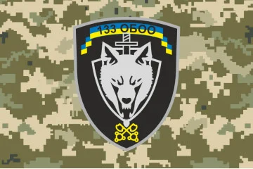 Флаг 133 ОБОО (отдельный батальон охраны и обслуживания) ВСУ. Вариант-06 Флаг 133 ОБОО (отдельный батальон охраны и обслуживания) ВСУ. Вариант-06