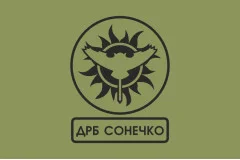Флаг ДРБ (добровольческий разведывательный батальон) «Сонечко» ВСУ. Вариант-04